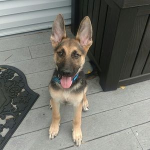 Meet your Posher, Karen