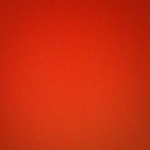 Meet your Posher, Lilly