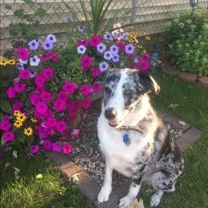 Meet your Posher, Ann