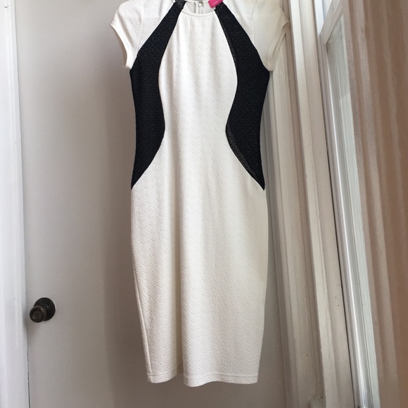 Pookie and Sebastian Dress - Picture 3 of 4