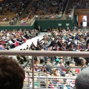 Meet your Posher, Nellie