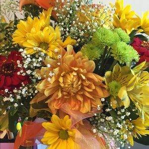 Meet your Posher, Brandy