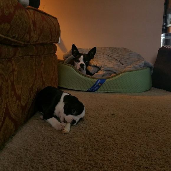 Meet your Posher, Catherine - Picture 1 of 1