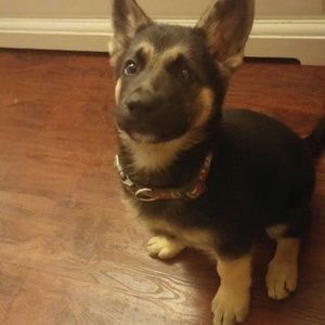 Meet your Posher, Lorita