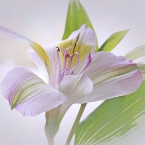 Meet your Posher, Meredith