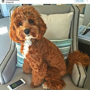 Meet your Posher, Cathy