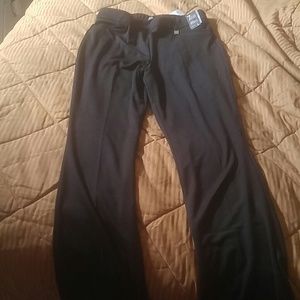 Reduced! New York & company bootcut stretch pants