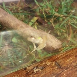 Meet your Posher, Jenifer