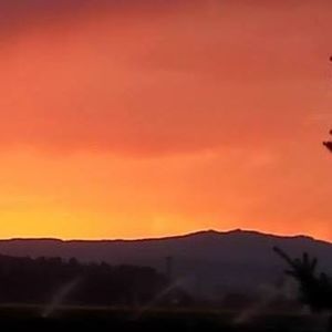 Meet your Posher, Misti