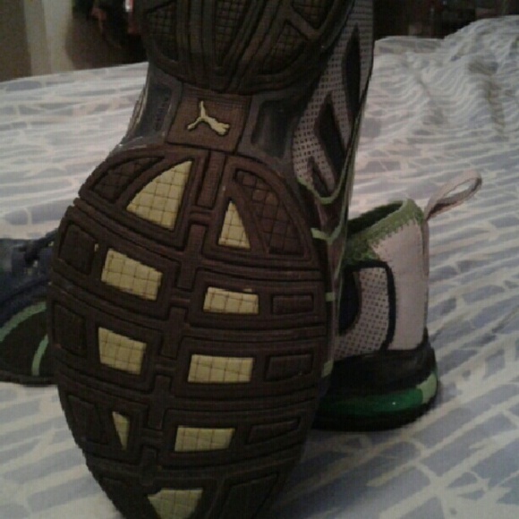 Pumas - Picture 3 of 4