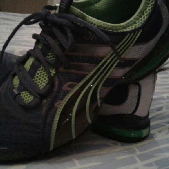 Pumas - Picture 4 of 4