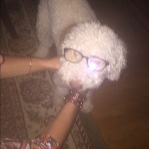 Meet your Posher, Sophie