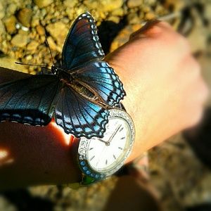 Meet your Posher, Lindsey