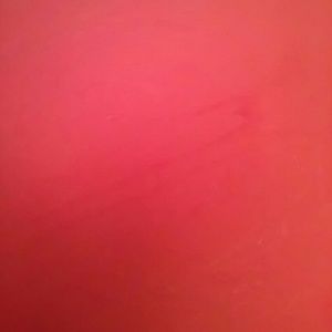 Meet your Posher, Shenika