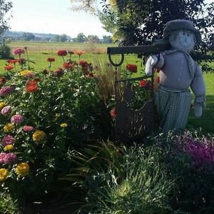 Meet your Posher, Jamie