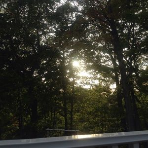 Meet your Posher, Trinity