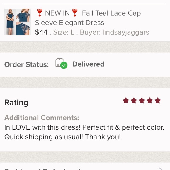 ❣️LAST❣️ Fall Teal Lace Cap Sleeve Elegant Dress - Picture 3 of 4