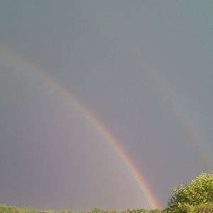 Meet your Posher, Cara