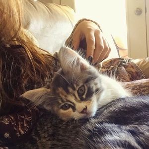 Meet your Posher, Katherine