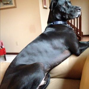 Meet your Posher, Erin