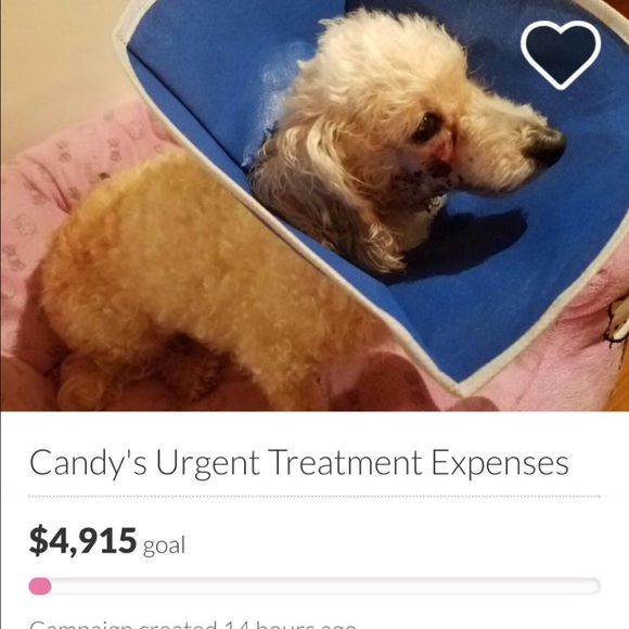 🙏🏼PLEASE HELP :SHARE this. I don't have facebook - Picture 2 of 2