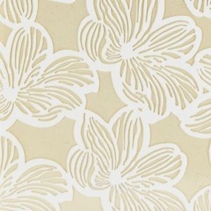 Meet your Posher, Colleen