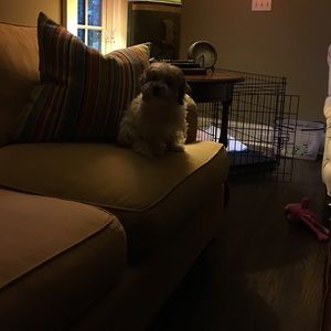 Meet your Posher, Ellen