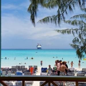 Meet your Posher, Dorothy