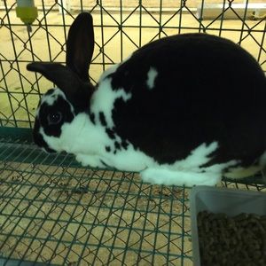 Meet your Posher, Sabrina