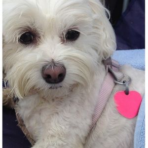 Meet your Posher, Ly