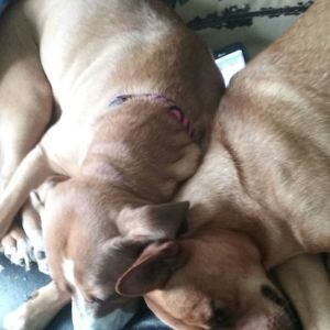 Meet your Posher, Bridgette