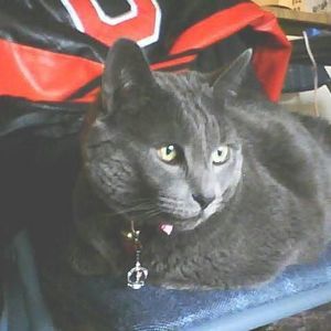 Meet your Posher, Kathy