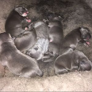 Meet your Posher, Vanessa