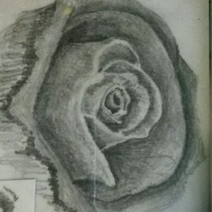 Meet your Posher, Craig