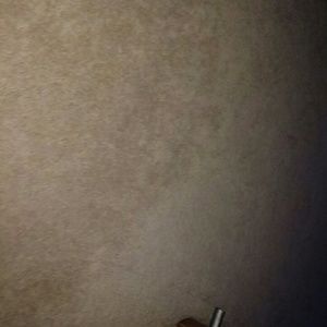 Meet your Posher, Trisha