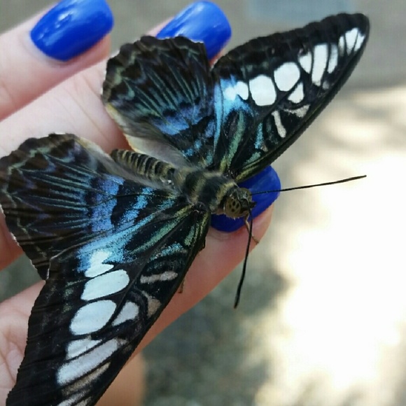 Meet your Posher, Erin