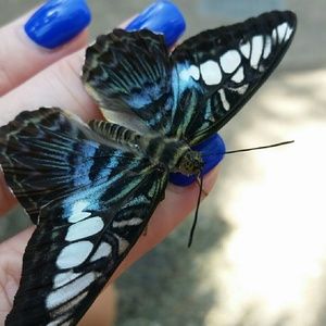 Meet your Posher, Erin