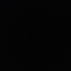 Meet your Posher, Alani