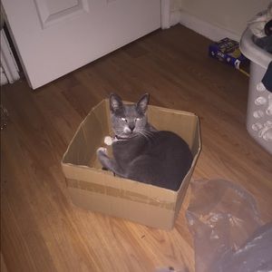 Meet your Posher, Mary