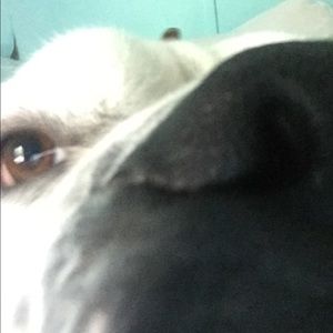 Meet your Posher, Savannah