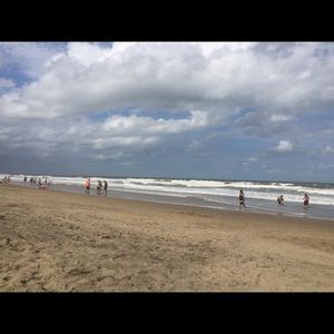 Meet your Posher, Rosie