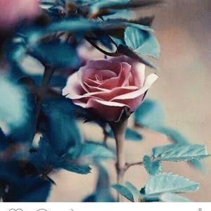 Meet your Posher, Monaty