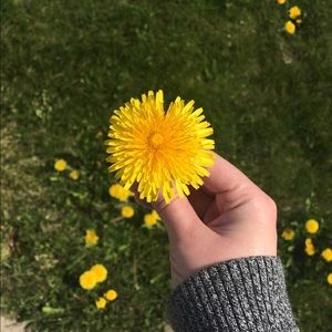 Meet your Posher, Anne