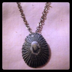 Ophi shell from Maui