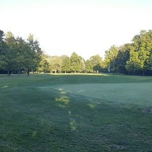 Meet your Posher, Martin