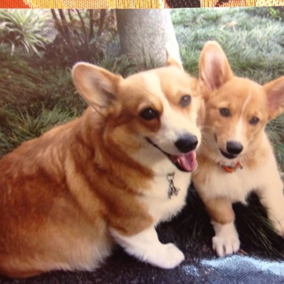 Meet your Posher, Berlyn