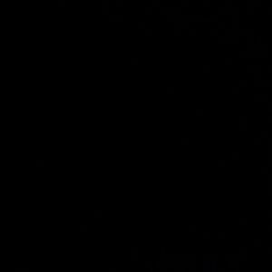 Meet your Posher, Bryce