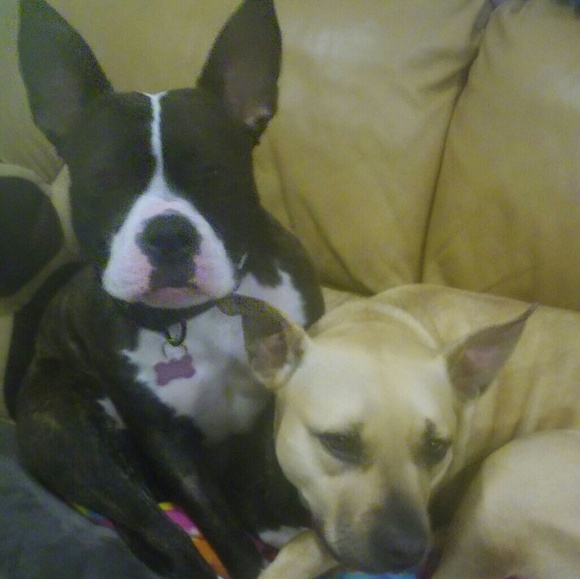 Meet your Posher, Christina - Picture 3 of 3