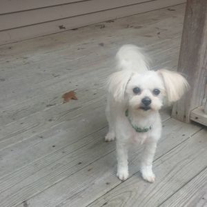 Meet your Posher, Sue