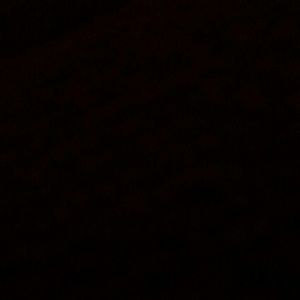 Meet your Posher, Gary